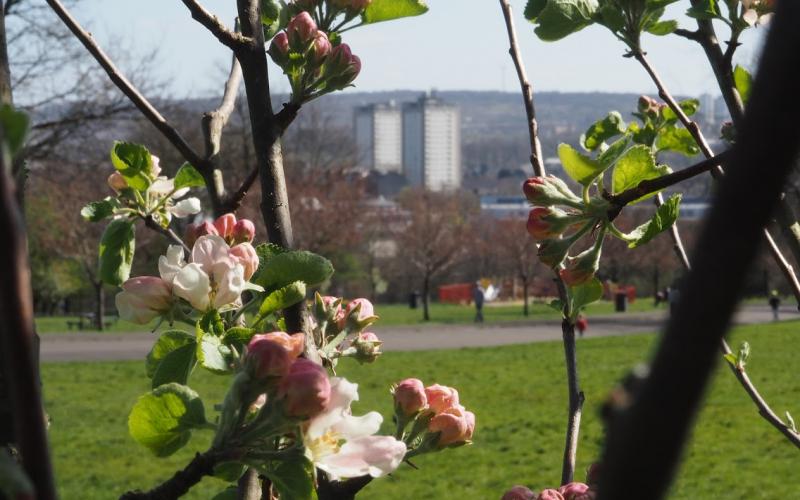 TOP Puclicity Photo (Fergus Walker)