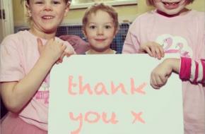 Flamingo Chick charity